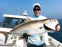 Полугодовой итог в ОАЭ: 126 выездов за 151 день и личный рекорд