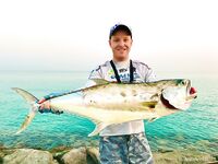 Волнорезы Абу-Даби: береговая рыбалка стабильна