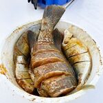 Новые перепады Дубая: хамур 19–25 м, обед на борту