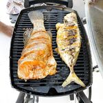 Новые перепады Дубая: хамур 19–25 м, обед на борту