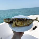 Новые перепады Дубая: хамур 19–25 м, обед на борту