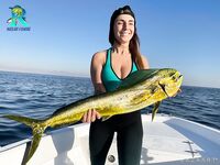 Фуджейра, 4:00 сбор: махи на живца и ужин из трёх способов