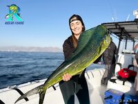 Фуджейра, 4:00 сбор: махи на живца и ужин из трёх способов