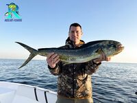 Фуджейра, 4:00 сбор: махи на живца и ужин из трёх способов