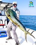 ОАЭ, поиск тунца: джиг 100–150 м, корабли и махи 12 кг