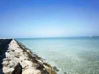 Волнорез, забор и отлив у отеля — где реально половить с берега