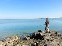 Розовый минноу решает - потом 20 г пилкер и серия