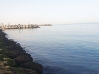 Рас-эль-Хайма - лицензия, запреты и рабочие приманки