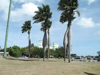 Возвращение с Кубы: Варадеро, Hanabanilla и море