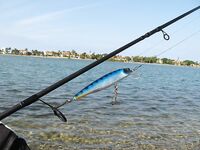 Возвращение с Кубы: Варадеро, Hanabanilla и море