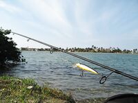 Возвращение с Кубы: Варадеро, Hanabanilla и море