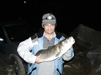 Отвечу по Греции: лаврак 12 кг, Агиязма