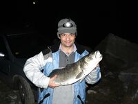 Отвечу по Греции: лаврак 12 кг, Агиязма