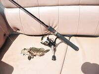 Комплект для Чавенга на Самуи: Seven 1–10 г и Gekkabijin