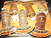 Не только рыбалка: кухня Карибского бассейна в туре