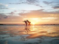 Не только рыбалка: кухня Карибского бассейна в туре