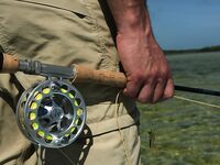 Гиды в Мексике - панги, площадки под кастинг и маршрут