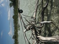 Гиды в Мексике - панги, площадки под кастинг и маршрут