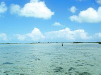 Гиды в Мексике - панги, площадки под кастинг и маршрут