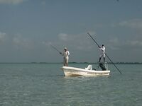 Гиды в Мексике - панги, площадки под кастинг и маршрут