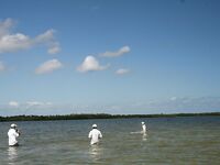 Гиды в Мексике - панги, площадки под кастинг и маршрут