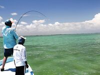 Гиды в Мексике - панги, площадки под кастинг и маршрут