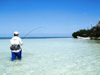Гиды в Мексике - панги, площадки под кастинг и маршрут