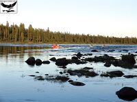 Швеция за Полярным кругом: лицензия 31 евро и сбиролино