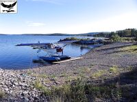 Швеция за Полярным кругом: лицензия 31 евро и сбиролино