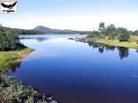 Швеция за Полярным кругом: лицензия 31 евро и сбиролино