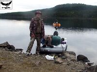 Швеция за Полярным кругом: лицензия 31 евро и сбиролино