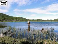 Хариус со сбиролино 20 г: мыс, трофей 46 см и выводы