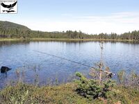 Хариус со сбиролино 20 г: мыс, трофей 46 см и выводы