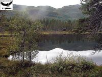 Хариус со сбиролино 20 г: мыс, трофей 46 см и выводы