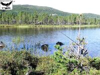 Хариус со сбиролино 20 г: мыс, трофей 46 см и выводы