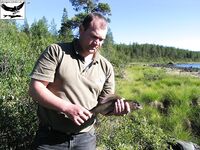 Хариус со сбиролино 20 г: мыс, трофей 46 см и выводы