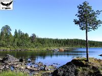 Хариус со сбиролино 20 г: мыс, трофей 46 см и выводы