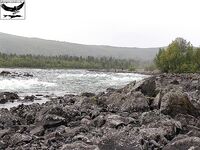 Хариус, Vakkakoski: первый 30+, потом «полтинник» на нахлыст