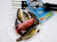 Родос 2008: барабулька на уху — фото нашли