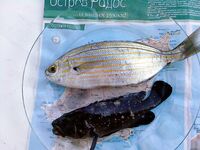 Две недели Фалираки: груз у крючка, хлеб и уха