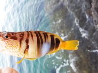 Пара кадров с Родоса: берег и ясная вода