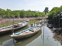Андаманы — запрет брать туристов и «грязная» лодка за копейки