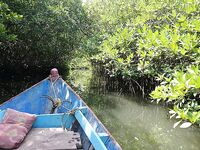 Андаманы — запрет брать туристов и «грязная» лодка за копейки