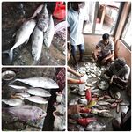 Андаманы — запрет брать туристов и «грязная» лодка за копейки