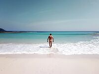 Андаманские острова: прилив, морская змея и полиция