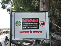 Андаманские острова: прилив, морская змея и полиция