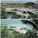 Андаманские острова: прилив, морская змея и полиция