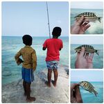 Андаманские острова: прилив, морская змея и полиция