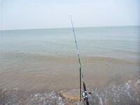 Должанская с берега: мелкая тарань и бычок, вывод жёсткий