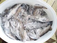 Жара +40 в Кирилловке и лодка напрокат — рыбалка по бычку